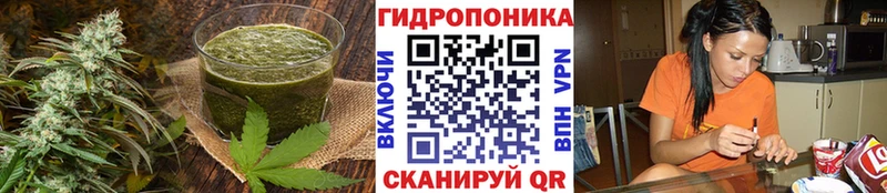 Cannafood конопля  Макарьев 