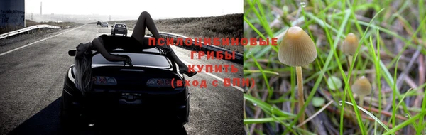 не бодяженный Магадан