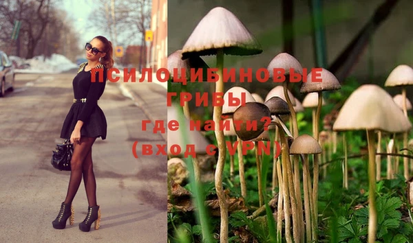 не бодяженный Магас