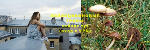 не бодяженный Магас
