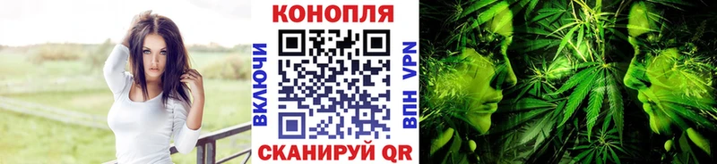 купить  цена  Макарьев  Бошки марихуана OG Kush 